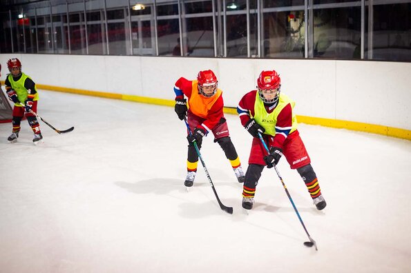 L'Orléans Loiret Hockey sur Glace L'Orléans Loiret Hockey sur Glace