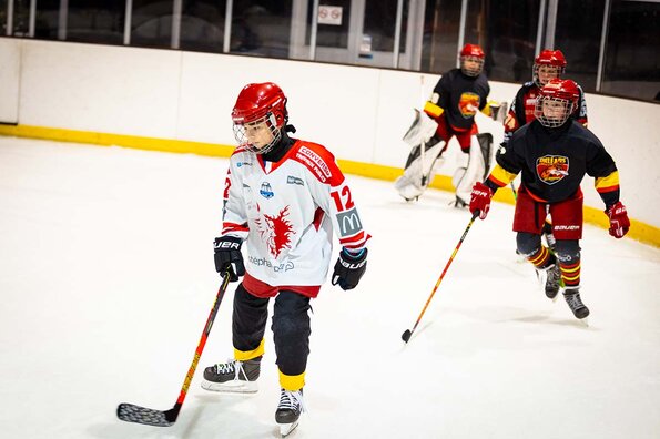 L'Orléans Loiret Hockey sur Glace L'Orléans Loiret Hockey sur Glace