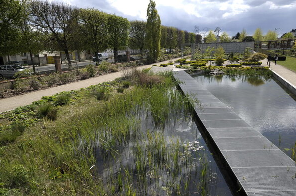 jardin des plantes jardin des plantes