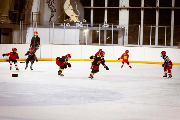 L'Orléans Loiret Hockey sur Glace L'Orléans Loiret Hockey sur Glace