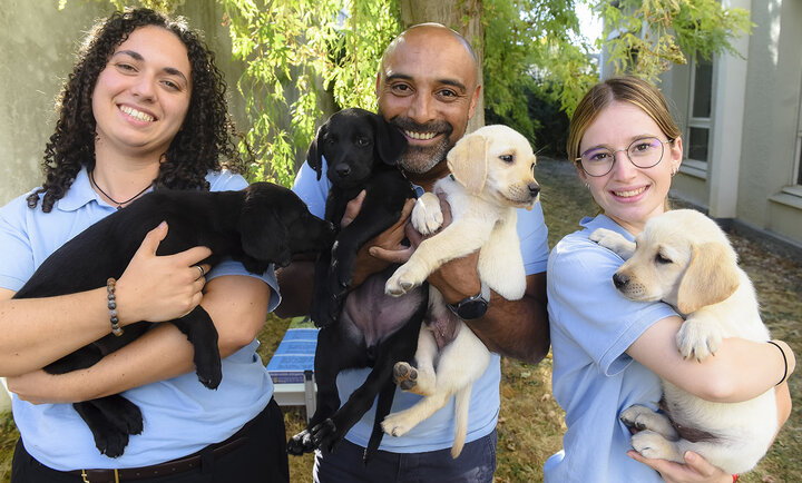 Photo en extérieur, dans un jardin ensoleillé. Trois personnes portant le même polo bleu clair posent côte à côte, souriantes. À gauche, une femme aux cheveux bouclés serre contre elle un chiot labrador noir. Au centre, un homme crâne rasé et barbe poivre et sel tient un chiot labrador beige clair. À droite, une jeune femme à lunettes rondes porte un autre chiot beige, la patte posée sur son épaule. À l'arrière-plan, on distingue un arbre au feuillage retombant, un bâtiment clair et une oriflamme illustrée d'un chiot.