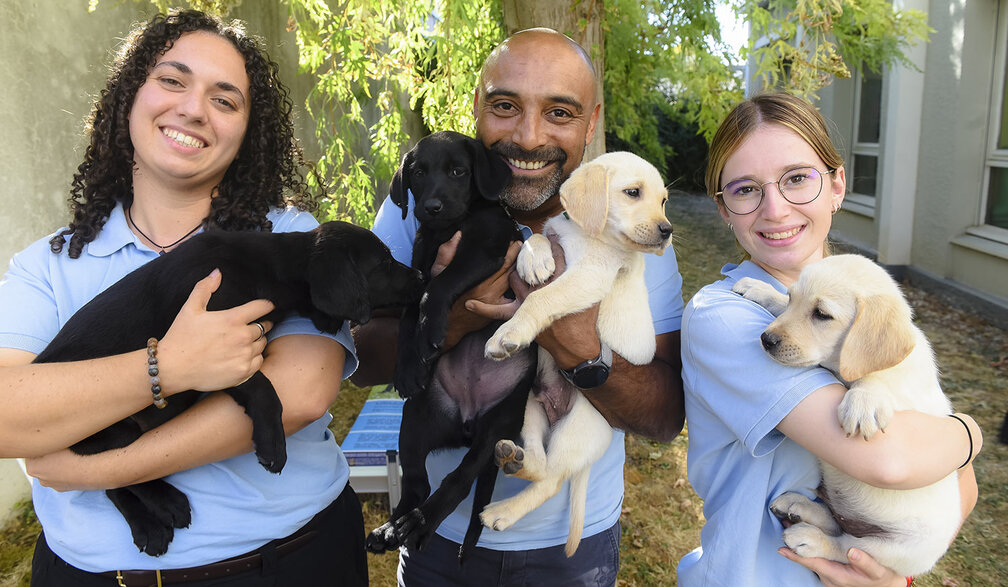Photo en extérieur, dans un jardin ensoleillé. Trois personnes portant le même polo bleu clair posent côte à côte, souriantes. À gauche, une femme aux cheveux bouclés serre contre elle un chiot labrador noir. Au centre, un homme crâne rasé et barbe poivre et sel tient un chiot labrador beige clair. À droite, une jeune femme à lunettes rondes porte un autre chiot beige, la patte posée sur son épaule. À l'arrière-plan, on distingue un arbre au feuillage retombant, un bâtiment clair et une oriflamme illustrée d'un chiot.