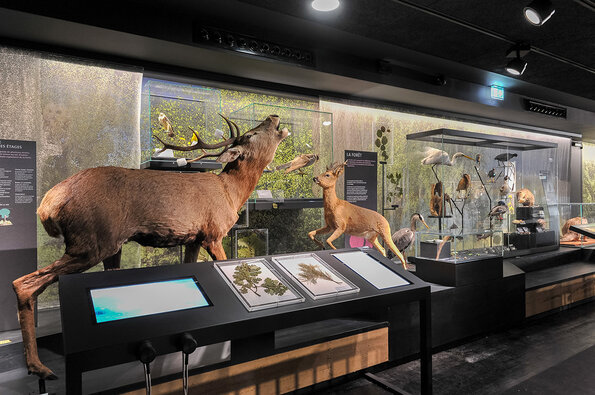 Muséum d’Orléans pour la Biodiversité et l’Environnement