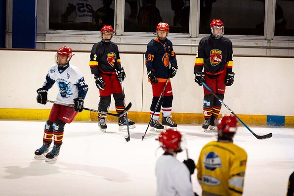 L'Orléans Loiret Hockey sur Glace L'Orléans Loiret Hockey sur Glace