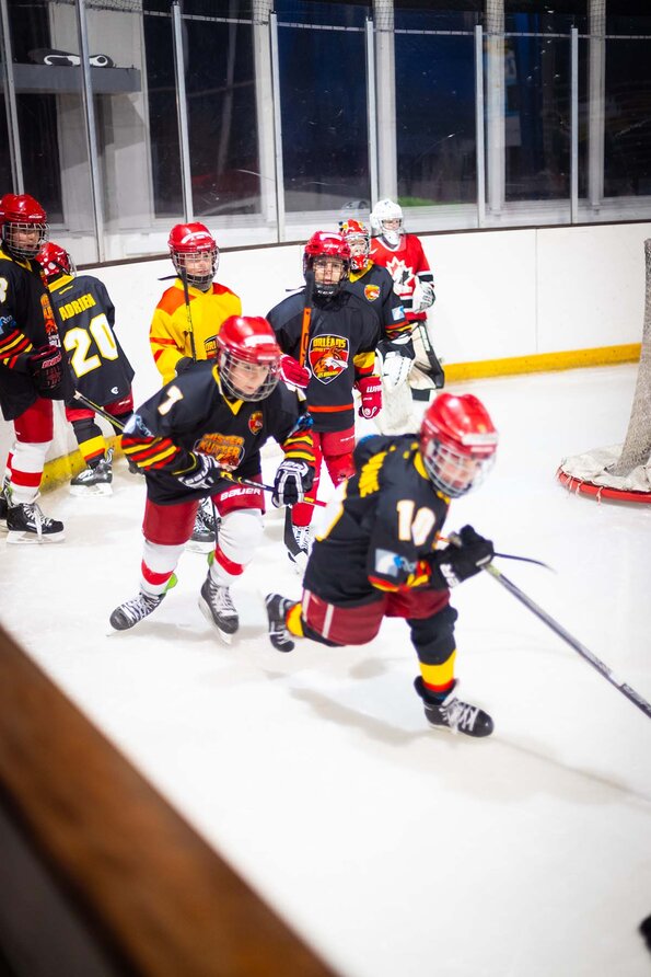 L'Orléans Loiret Hockey sur Glace L'Orléans Loiret Hockey sur Glace