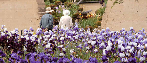 Jardin des plantes Jardin des plantes