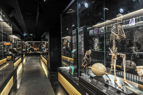 Muséum d’Orléans pour la Biodiversité et l’Environnement