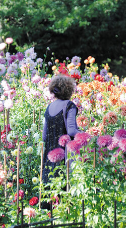 parc-jardin-ete
