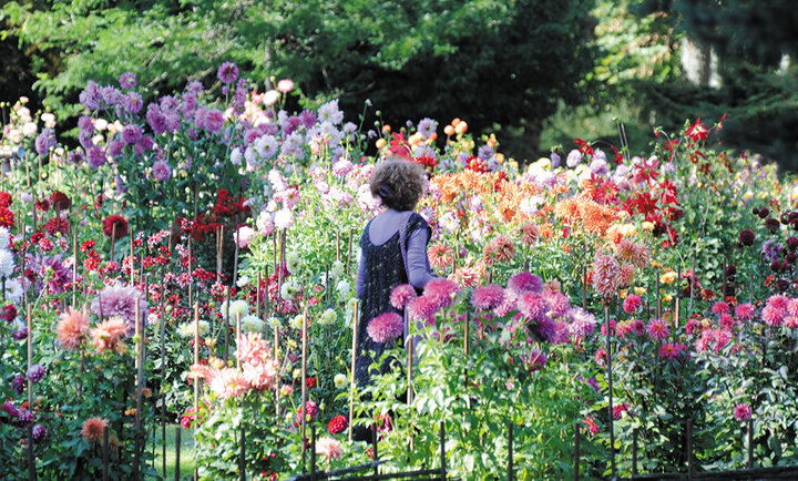 parc-jardin-ete