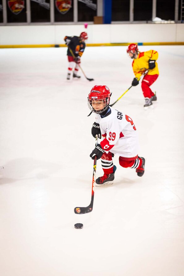 L'Orléans Loiret Hockey sur Glace L'Orléans Loiret Hockey sur Glace