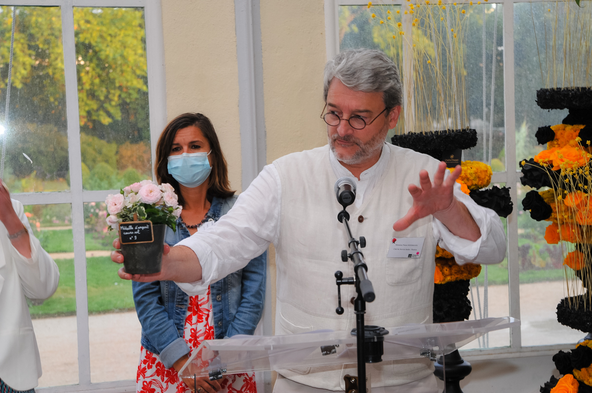 Concours de roses - Nuances de roses Concours de roses - Nuances de roses