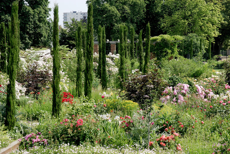 jardin des plantes