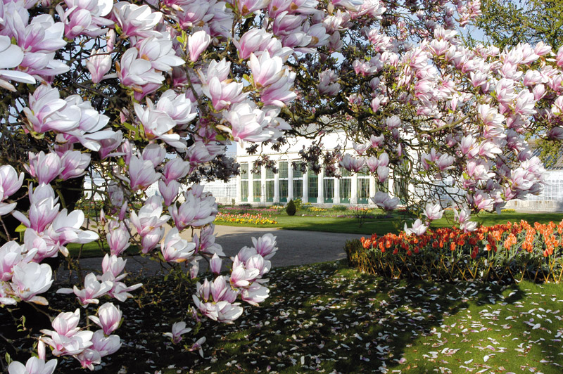 jardin des plantes