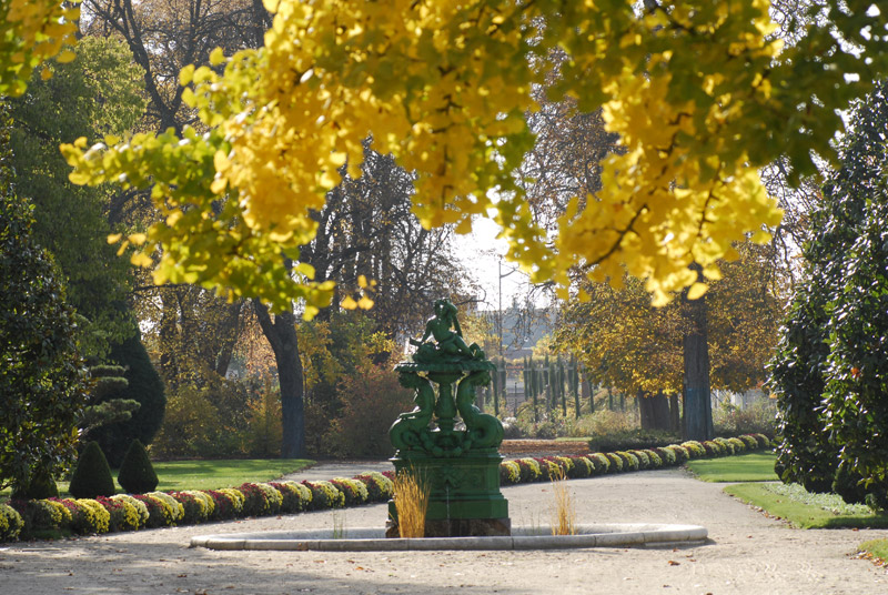jardin des plantes