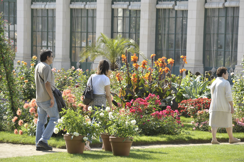 jardin des plantes