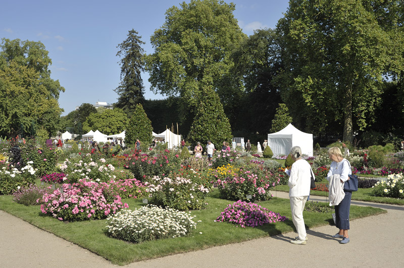 jardin des plantes