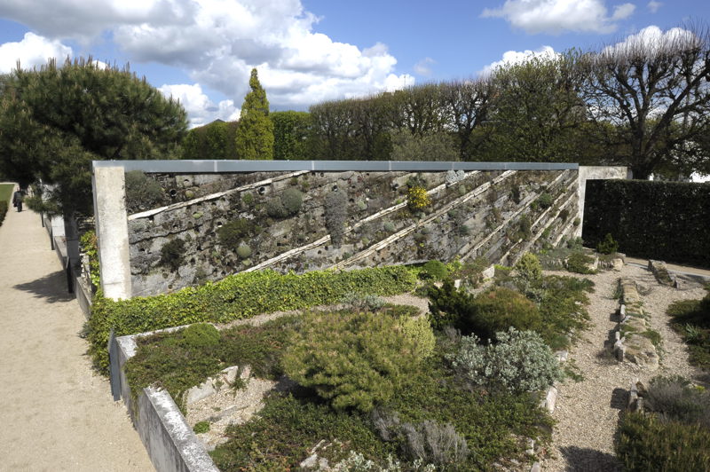 jardin des plantes