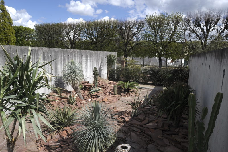 jardin des plantes