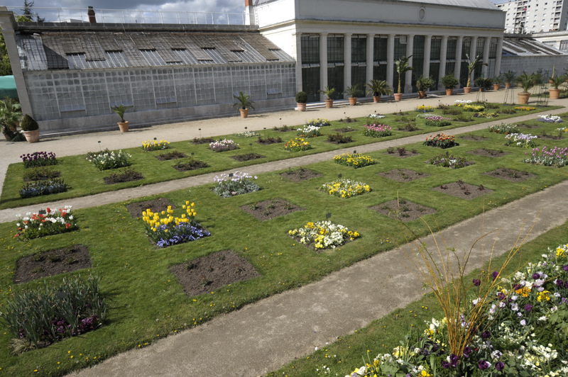 jardin des plantes