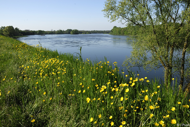 Bords de Loire