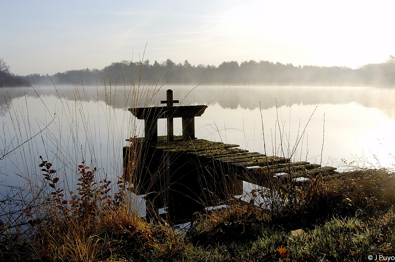 Etang de sologne