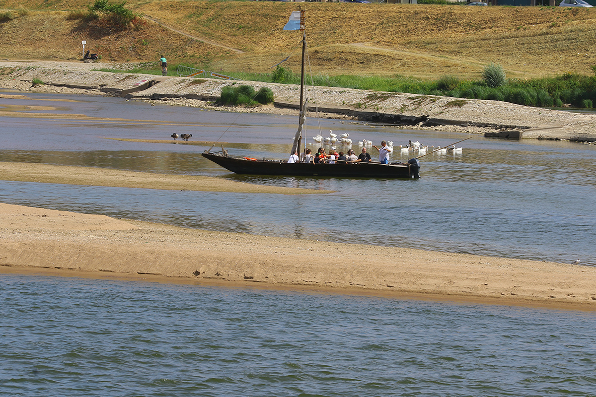 Balade en Loire