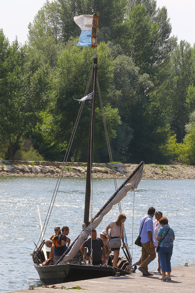 Balade en Loire à Orléans